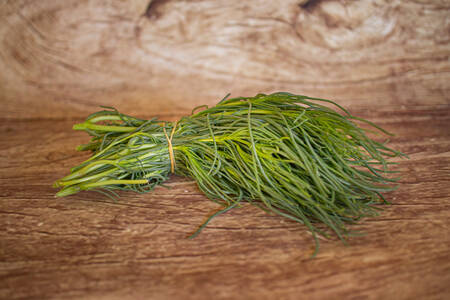 Agretti salicorne  BIO