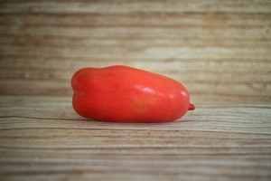 tomate san Marzano  BIO