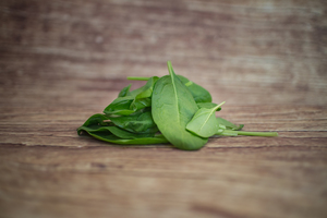 épinard salade  BIO