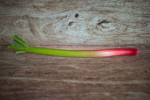 rhubarbe  BIO