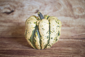 Courge patidou sweet dumpling  BIO