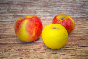 Pomme nouvelle récolte  BIO