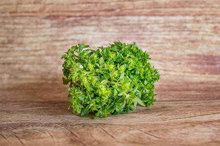 basilic spécial bouquet  BIO