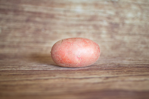 Pomme de terre rose Alouette farineuse  BIO