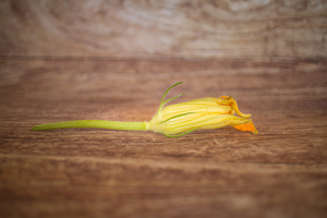 fleur de courgette  BIO