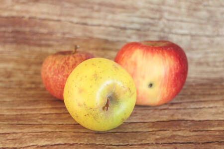Pomme ménage  BIO