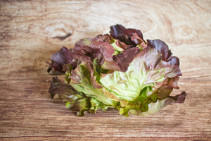Salade pommée rouge  BIO