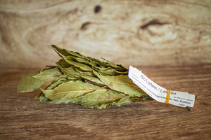 Laurier feuille  BIO