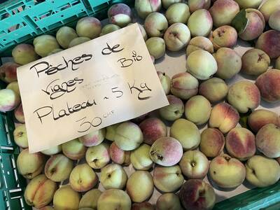 Plateau de Pêche de vigne pour confiture petite 5 kg BIO