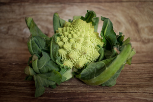 Chou romanesco  BIO
