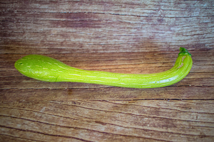 courgette trompette  BIO