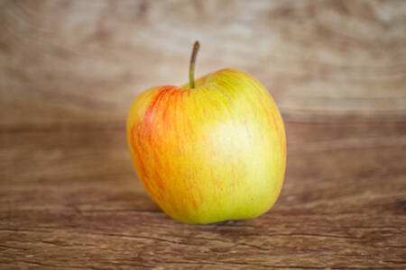 Pomme Delcorf  BIO