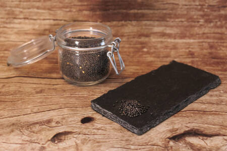 Graine de colza  BIO