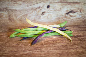 haricot vert et mélangés  BIO