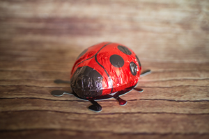 Coccinelle en chocolat 40 g BIO