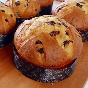 Panettone artisanal chocolat 450 g BIO