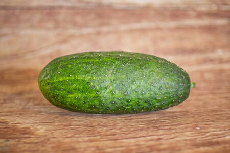 Cornichon vert et jaune  BIO